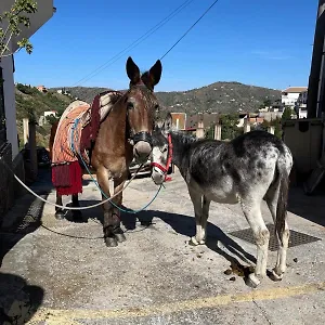 Casa Almachar Holiday home